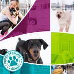 Paisley Paisley-DogParkImage