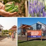 Brookfield Edmonton Chappelle Gardens community features